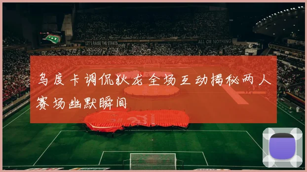 乌度卡调侃狄龙全场互动揭秘两人赛场幽默瞬间