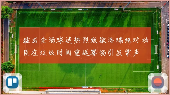 猛龙全场球迷热烈致敬洛瑞绝对功臣在垃圾时间重返赛场引发掌声