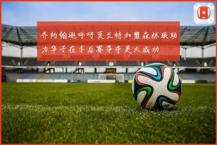 乔约翰逊呼吁莫兰特加盟森林狼助力华子在季后赛争夺更大成功