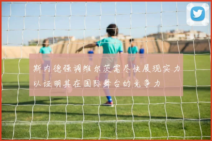 斯内德强调维尔茨需尽快展现实力以证明其在国际舞台的竞争力