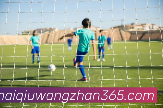 在线买球网站发展历程